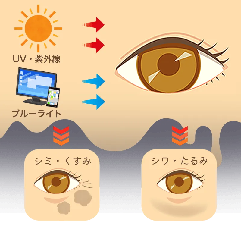 目の紫外線をカバーすることが大切